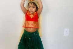 Anavi-Wagh