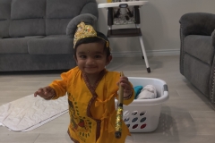 Dhanya-118-P